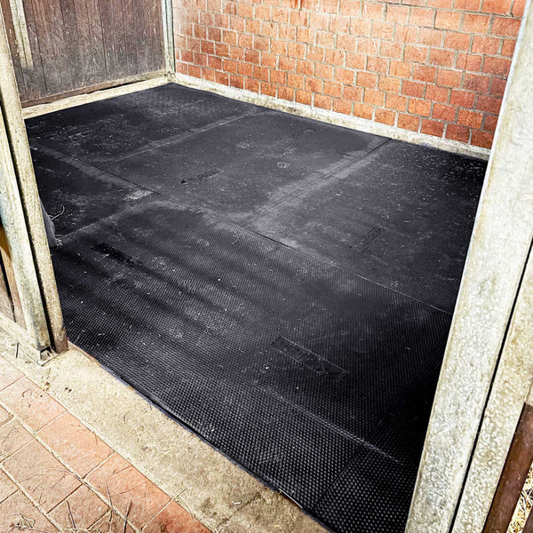 Ridcon Stallmatte Soft XL 122x183x2,5 cm