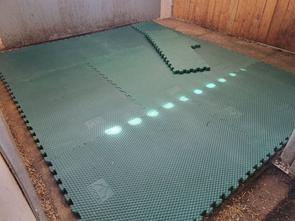 Ridcon EVA-Stallmatte grün, mit Rundumverzahnung - 120x80x2,5 cm