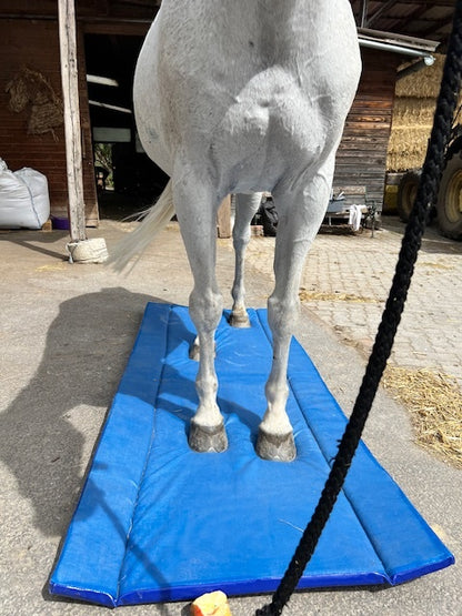 Ridcon Hufmatte zum Wässern der Hufe - XL 220x90cm
