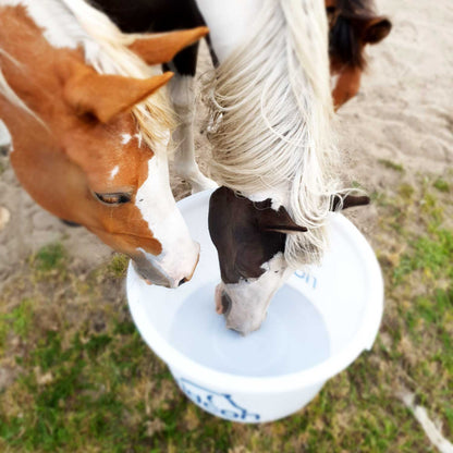 Ridcon Futter- und Wasserbottich ''Gustav'' - 85 Liter