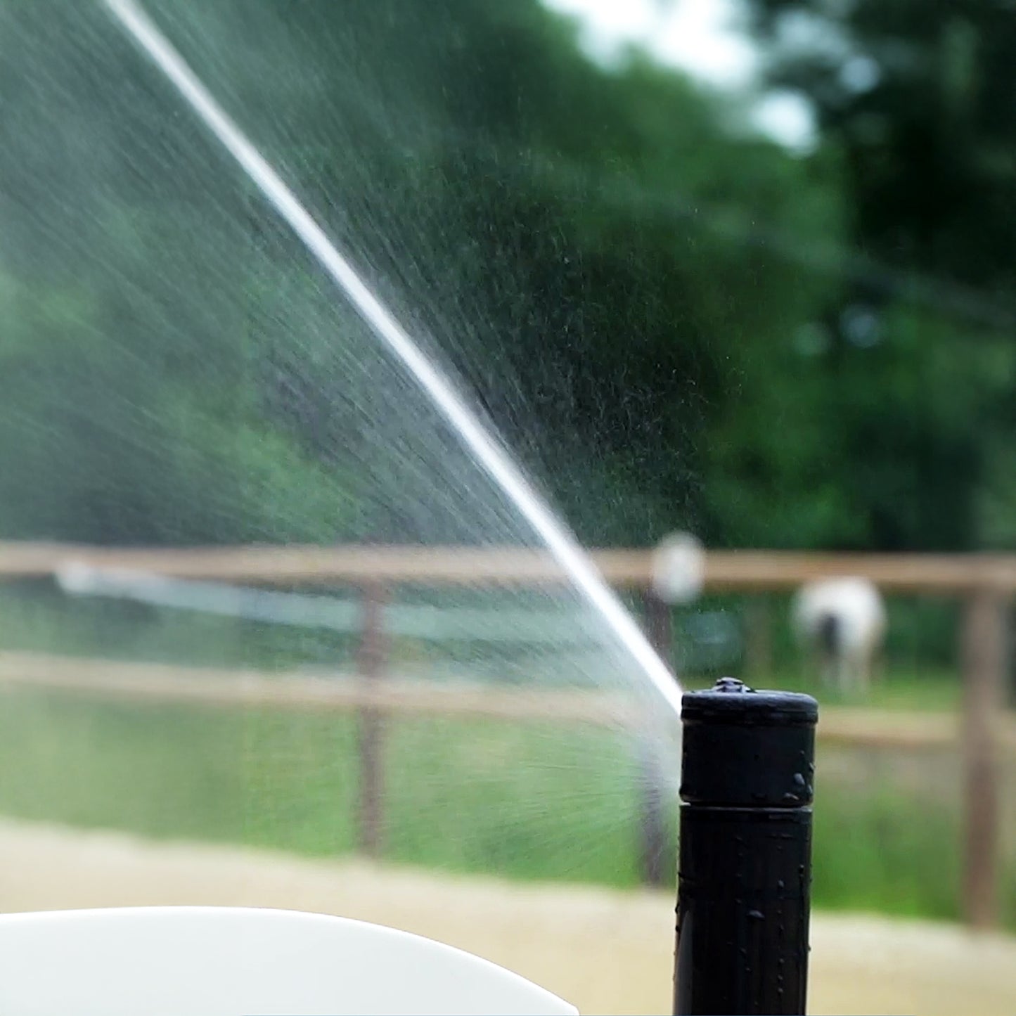 Ridcon Wetman Station FLEX Paket 1 für 20x40m 2,4m³ Wasser